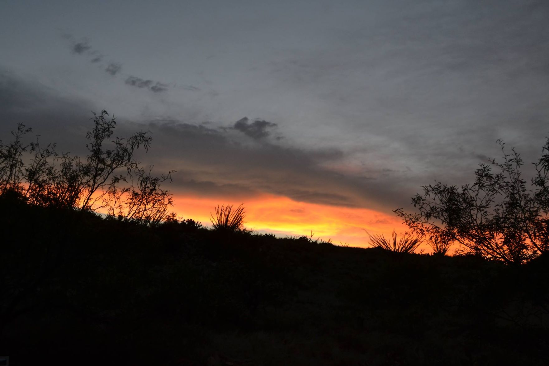 Beautiful Arizona sunsets